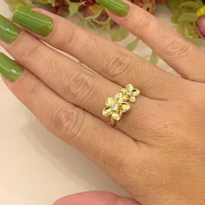 ANEL FLORES E MIOLO EM ZIRCÔNIAS