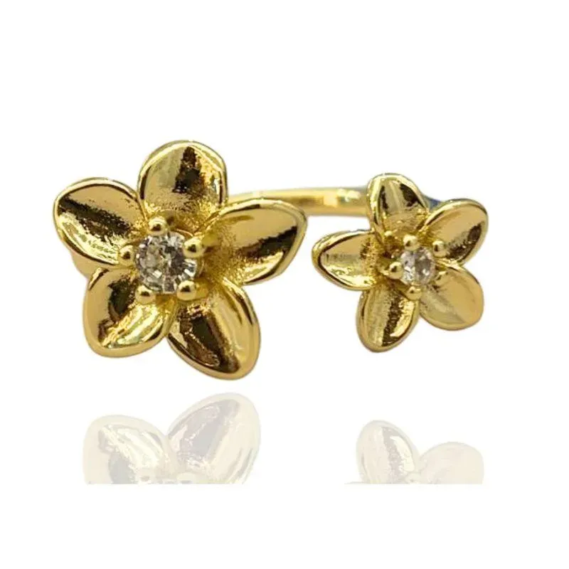 ANEL FLORES E MIOLO EM ZIRCÔNIAS